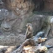 2021-06-17 ZOO Hodonn